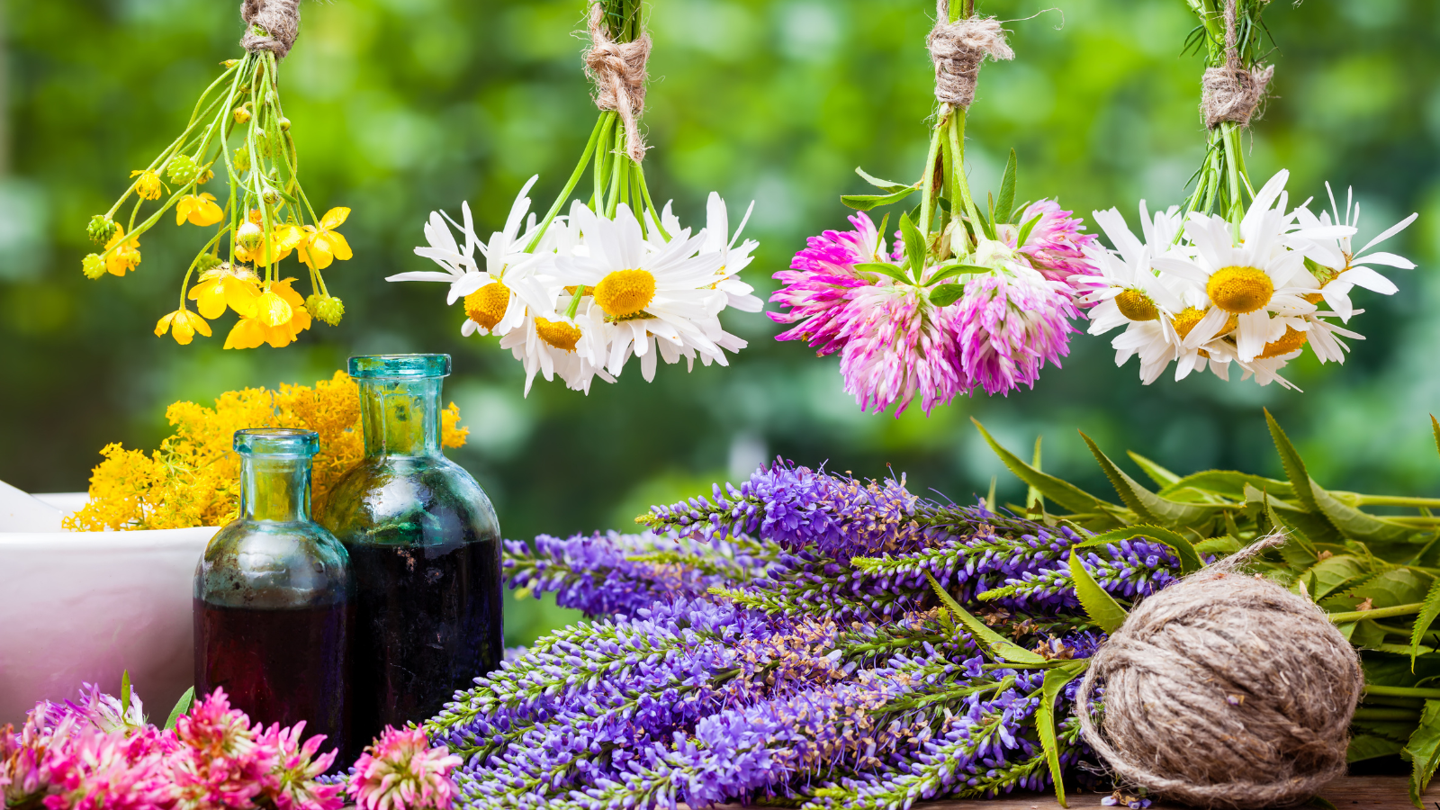 Medicinal herbs
